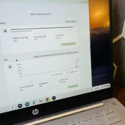 HP Pro C640 Chromebook 8GB RAM 64GB Storage CPU and battery diagnostics