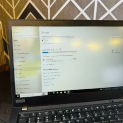 Lenovo ThinkPad T495 256GB SSD storage close view