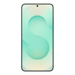 Samsung Galaxy S25 Mint front view - Price in Pakistan